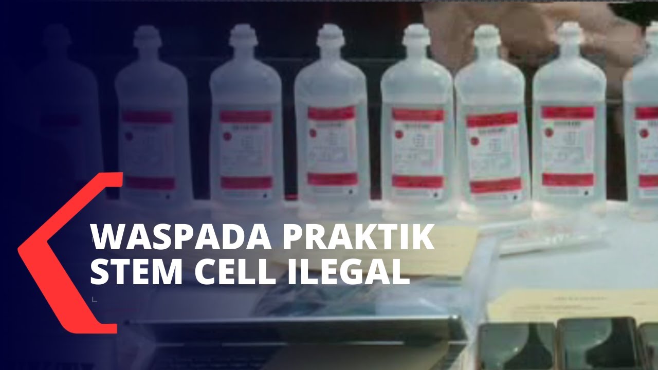 3 Fakta Praktik Stem Cell Ilegal Dosen Kedokteran Hewan UGM yang Kini Dinonaktifkan