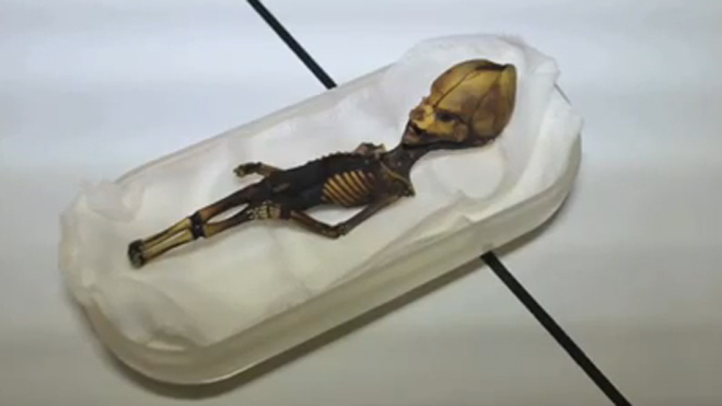 Analisis DNA Ungkap Misteri 'Alien Atacama', Wujudnya Tak Biasa