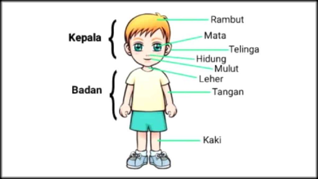 Bagian Unik dari Tubuh Manusia, Benar-benar Kuasa Tuhan