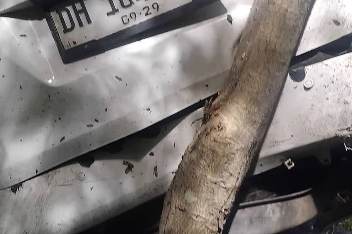 Berburu di Hutan Timor Leste, WNI Asal Belu Ditemukan Tewas dengan Luka Tembak