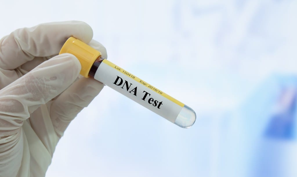 Bukan Cuma untuk Cek Status Anak, Ini Fungsi Lain Tes DNA