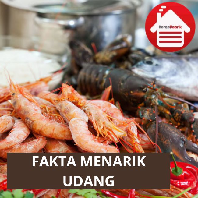 Fakta-fakta: Udang Beku Asal Indonesia Diduga Terkontaminasi Nuklir, Ini yang Perlu Anda Ketahui