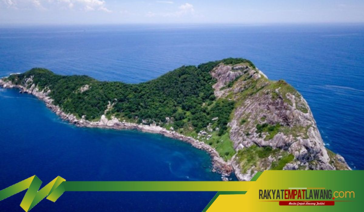 Horornya Pulau Ular yang Terlarang Dikunjungi Manusia