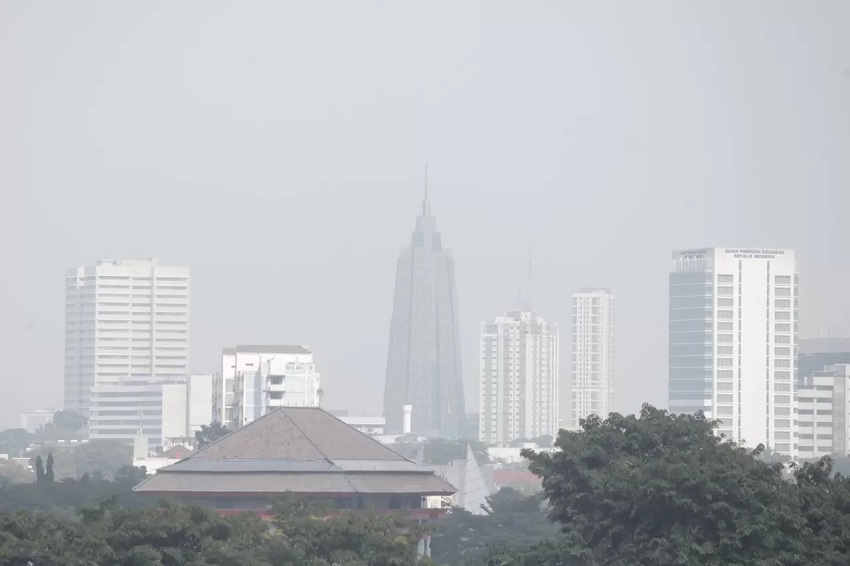 Menkes Wanti-Wanti Lingkungan Seperti Ini Rentan Picu Masalah Cacingan