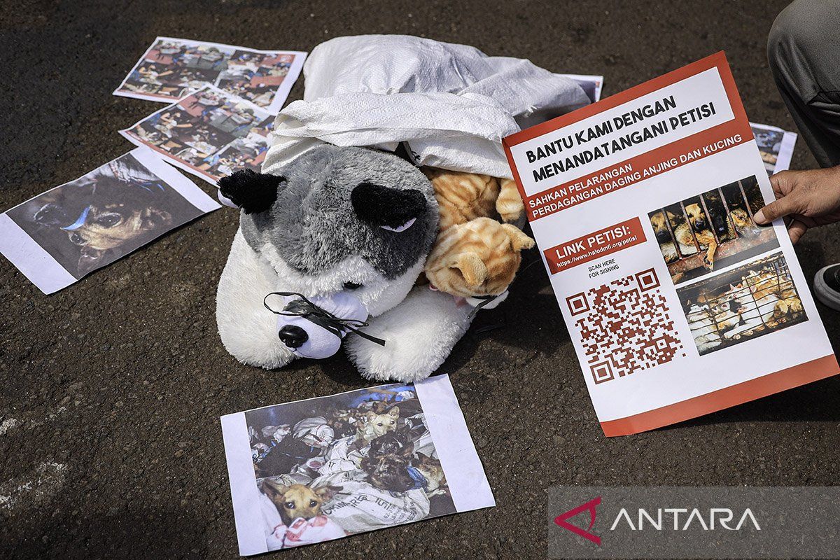 Menkomdigi Buka Suara, Pelarangan Liputan Aksi Demo DPR Sebagai Hoax