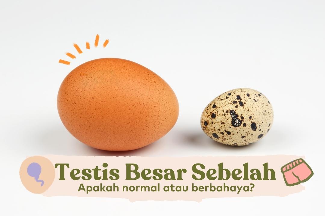 Penampakan Tumor di Buah Zakar Sebesar Telur Ayam, Inikah Pemicunya?