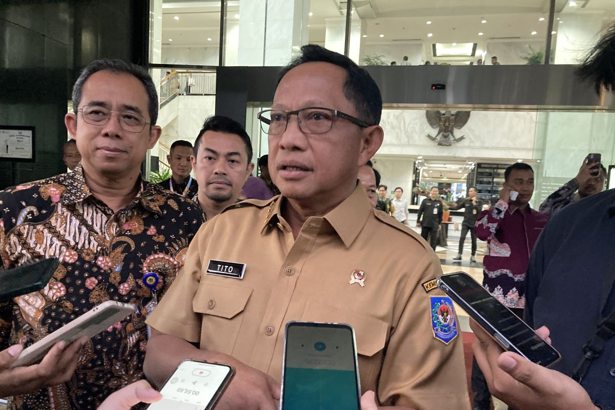 Perkuat PAD, Mendagri Minta Pemda di Sultra Hidupkan UMKM dan Sektor Swasta