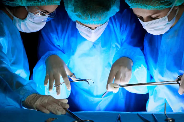 Sederet Organ Babi yang Pernah Didonorkan ke Manusia, Ada Ginjal hingga Paru