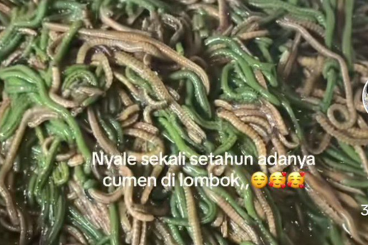 Tren Viral Gen Z Ramai-ramai Beli Obat Cacing, Ini Wanti-wanti Profesor Parasitologi