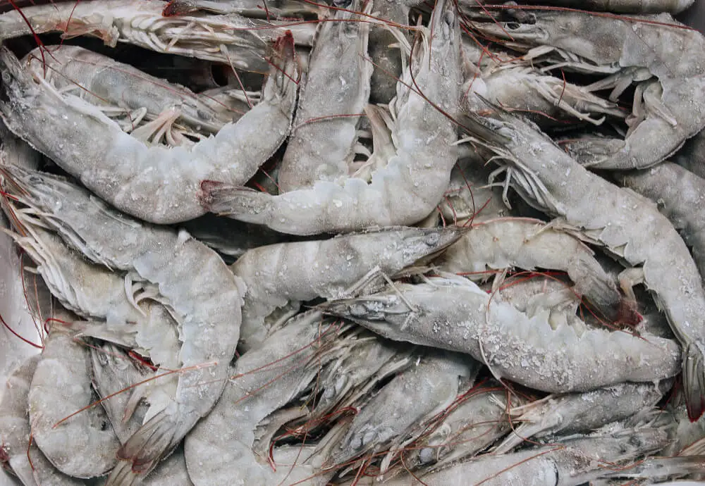 Udang Beku RI Tercemar Radioaktif Ditarik di AS : Okezone Women