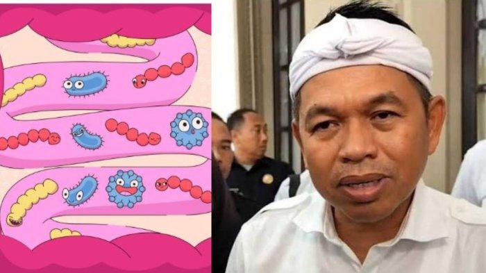 Viral Bocah di Sukabumi Meninggal usai Tubuhnya Dipenuhi Cacing Gelang