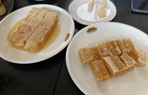 5 Makanan yang Cocok Dikonsumsi Orang Sakit