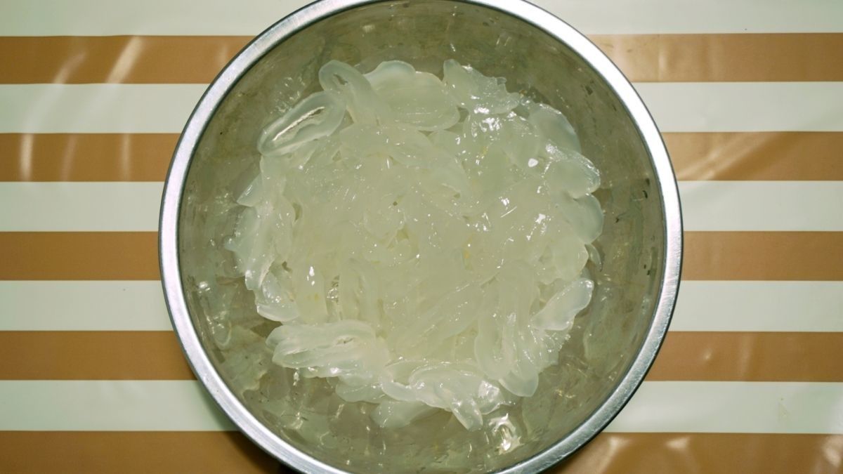 5 Manfaat dan Bahaya Makan Kolang-Kaling Berlebihan