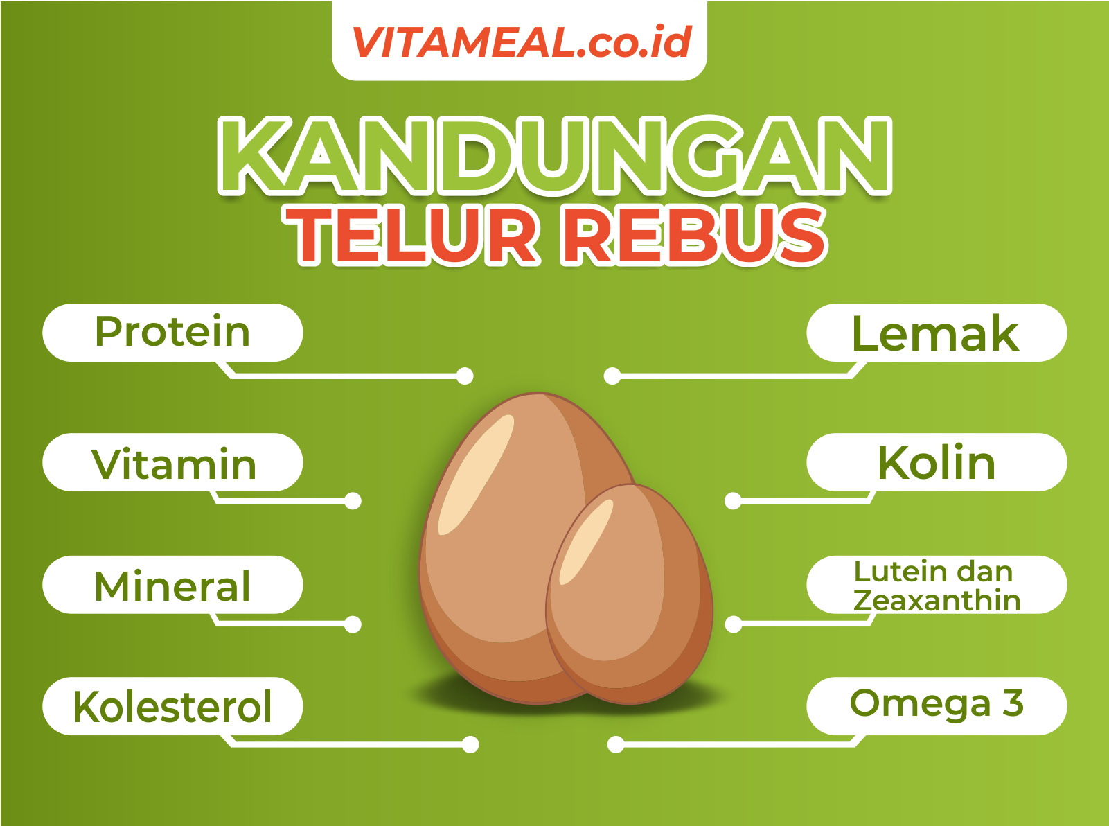 7 Hal Terjadi pada Tubuh Jika Makan Telur Rebus Tiap Hari