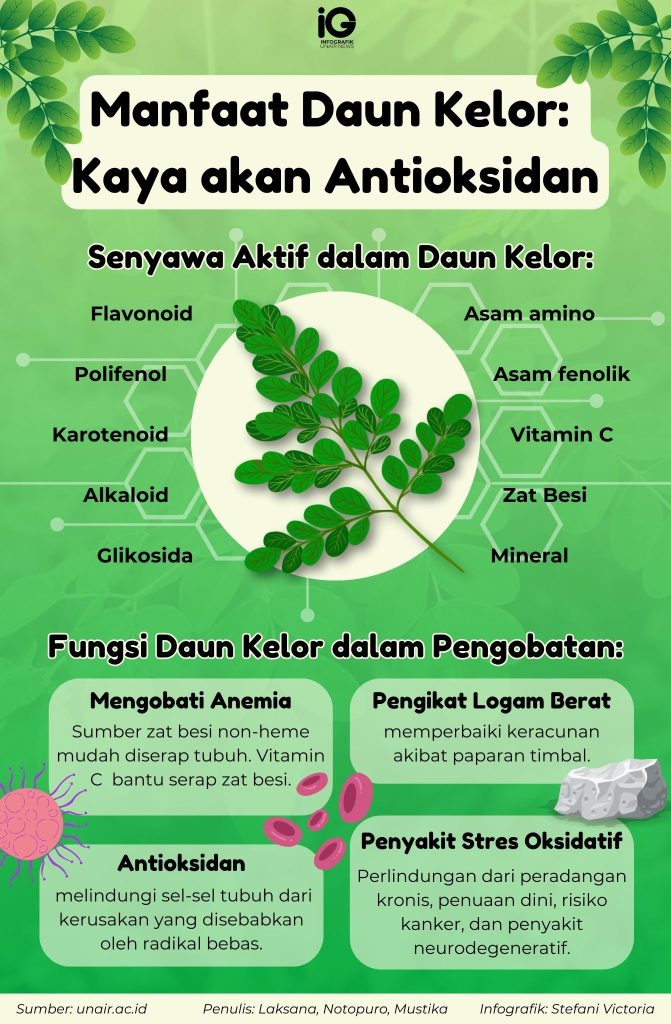 7 Manfaat Ajaib Rebusan Daun Kelor, Dapat Mencegah Penyakit