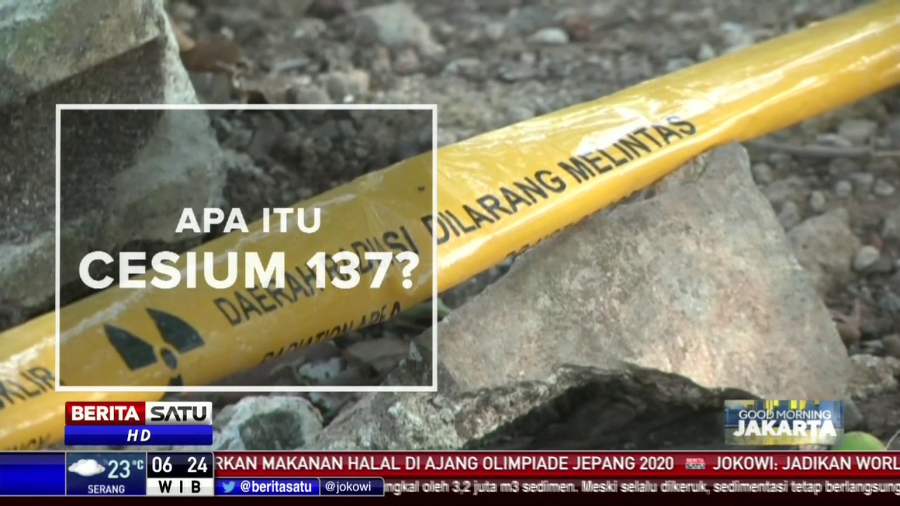 Ditemukan di Udang Beku asal RI, Apa Itu Radioaktif Cs-137 dan Bahayanya?