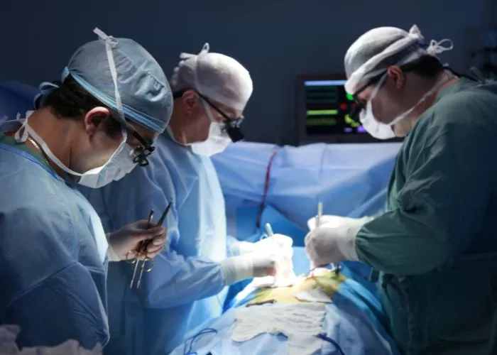 Dokter AS Berhasil Transplantasi Ginjal Babi ke Manusia, Pasien Kini Bebas Dialisis