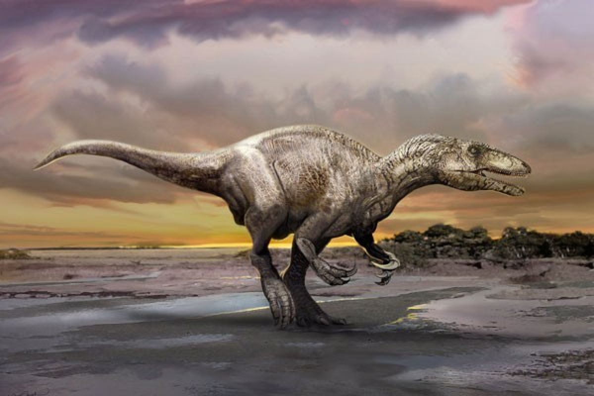 Fosil Dinosaurus Ganas Megaraptor Ditemukan Santap Buaya