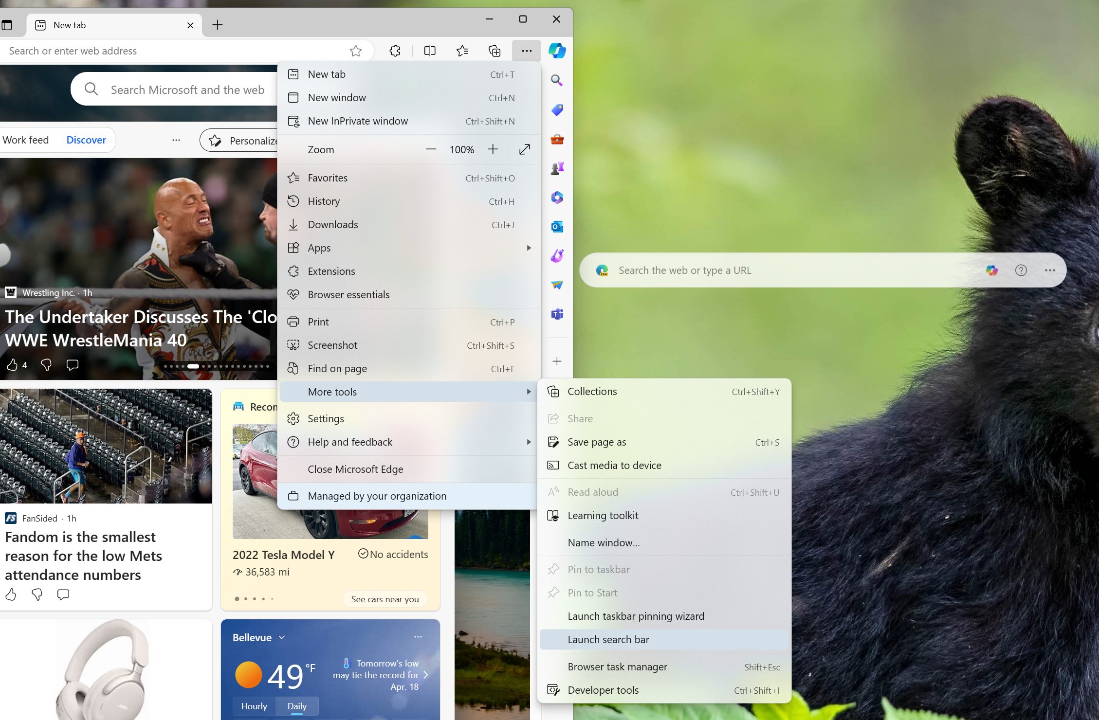 Google Rilis Fitur Pencarian Terbaru untuk Windows