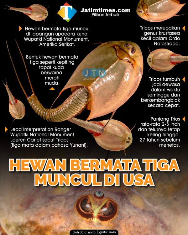 Hewan Mata Tiga Siap-siap Muncul Lagi di Gurun Amerika