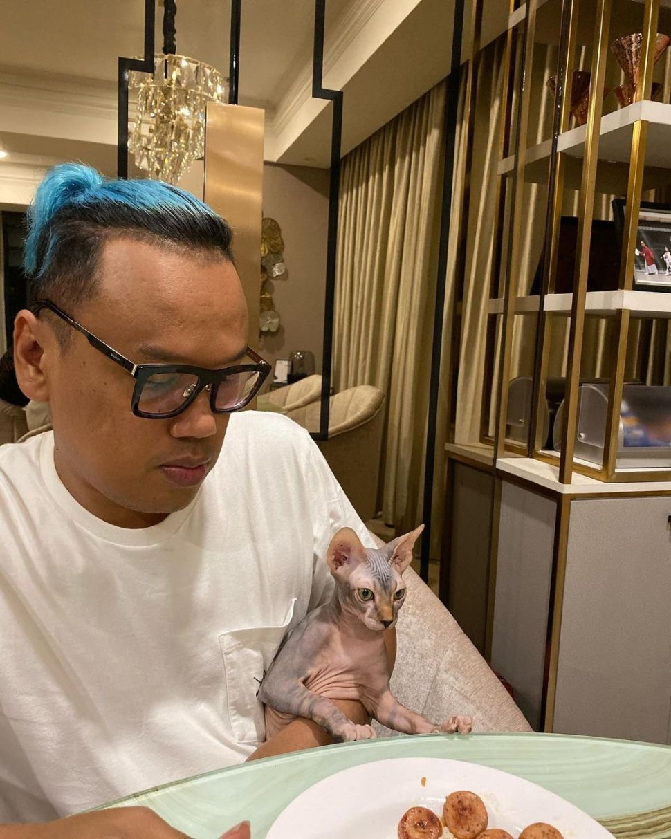 Ini Jenis dan Harga Fantastis Kucing Uya Kuya yang Ikut Diambil Massa : Okezone Women