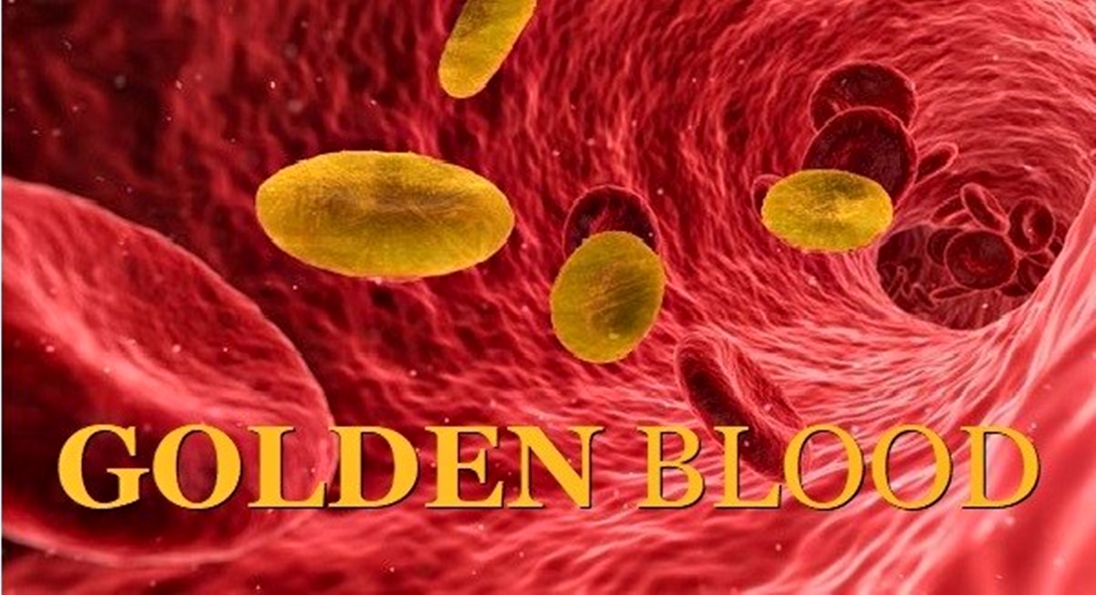 Mengenal Golongan Darah Paling Langka di Dunia, Ada yang Dijuluki 'Golden Blood Type'