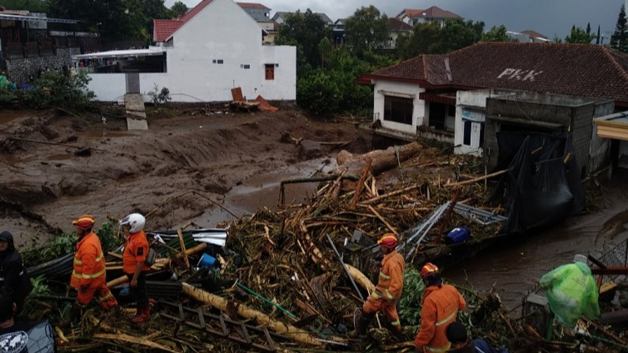 Menteri LH soal Alih Fungsi Lahan Penyebab Banjir Bali: DAS Berpohon Sisa 3%