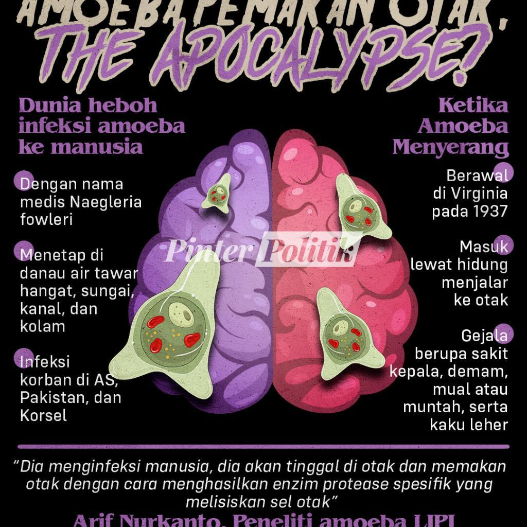 Ngeri Wabah Amoeba Pemakan Otak Mematikan di India, Pasien Keluhkan Gejala Ini