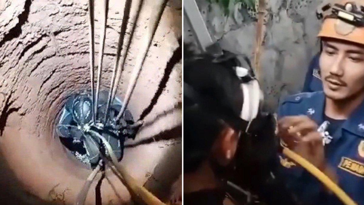 Saat Damkar Berjibaku Cari iPhone 15 yang Jatuh ke Kolam Ikan di Depok