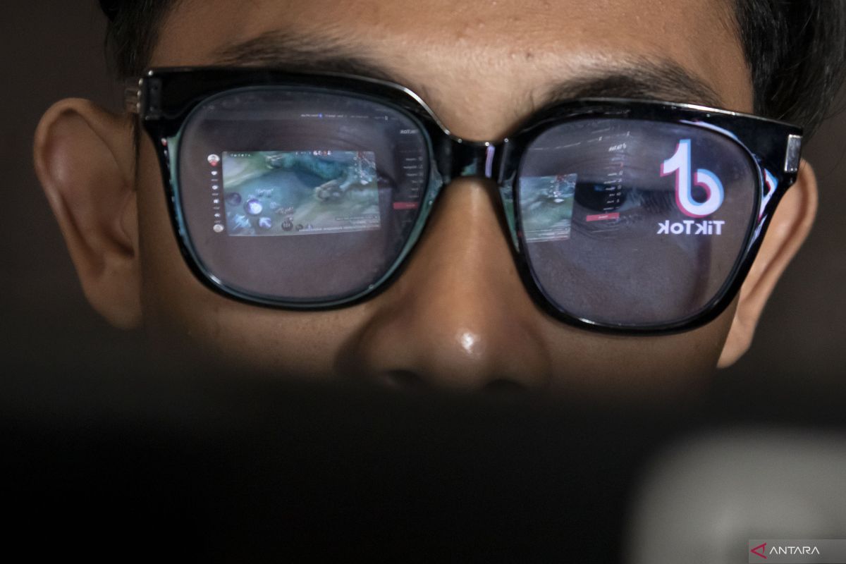 Saman Komdigi Beroperasi Oktober, Sistem Pengawasan Konten Internet
