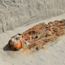 Strange Tomb in Peru Holds Skeletons of People with Ropes Around Their Necks, Hands Tied Behind Their Backs, Archaeologists Say