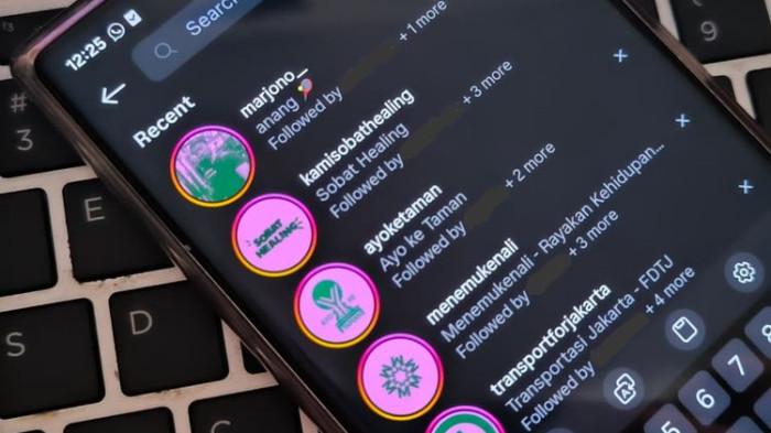 Tren Foto Profil Pink Hijau Viral, Ini Makna dan Cara Membuatnya.