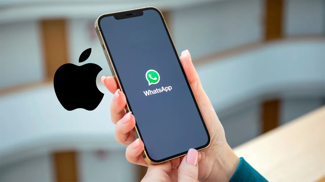 Update WhatsApp di iPhone Sekarang Juga, Wajib Hukumnya