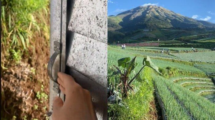 Viral! Toilet Umum dengan Pemandangan Indah, Netizen: Buang Hajat Sambil Wisata
