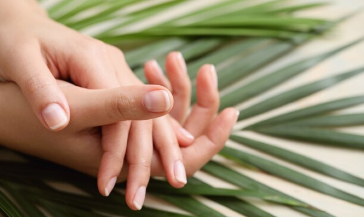 Wanita Wajib Tahu! 5 Tips agar Kuku Indah Sehat Alami