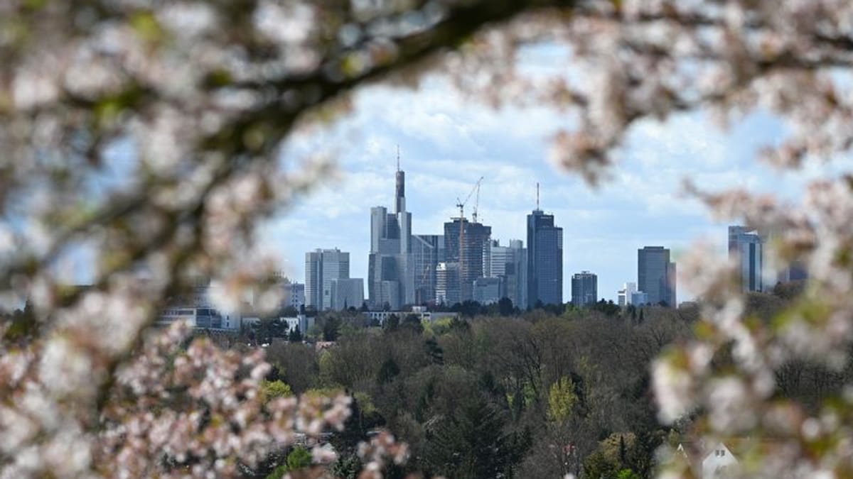 Wetter in Frankfurt: Sonniges Wochenende mit bis zu 30 Grad