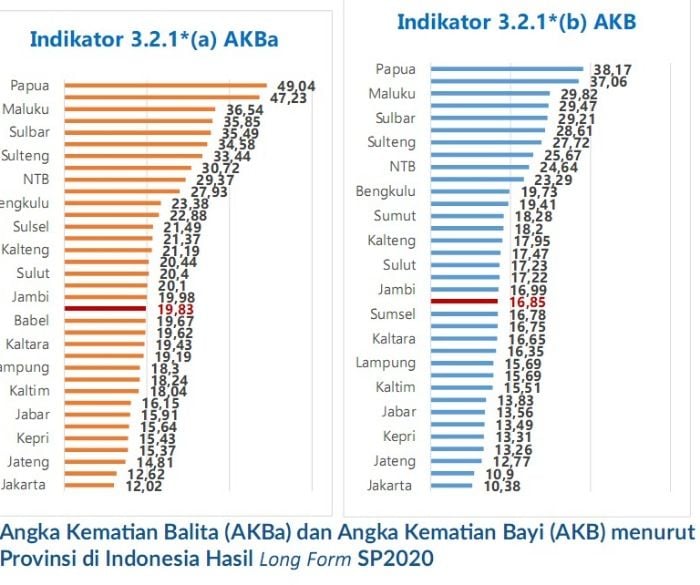 WHO Apresiasi Indonesia: Angka Kematian Bayi dan Balita Turun Hingga 39 Persen